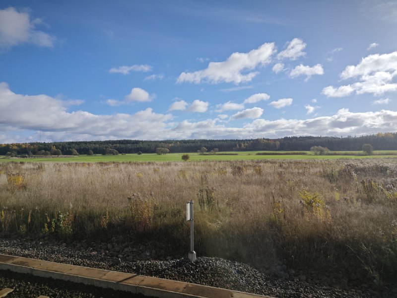 今日出游今日出游